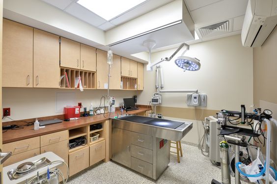 簡約寵物醫院裝修設計-第4張圖片-上海古都建筑設計集團