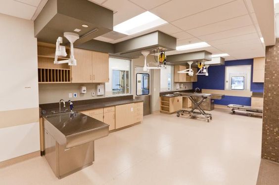 簡約寵物醫院裝修設計-第1張圖片-上海古都建筑設計集團