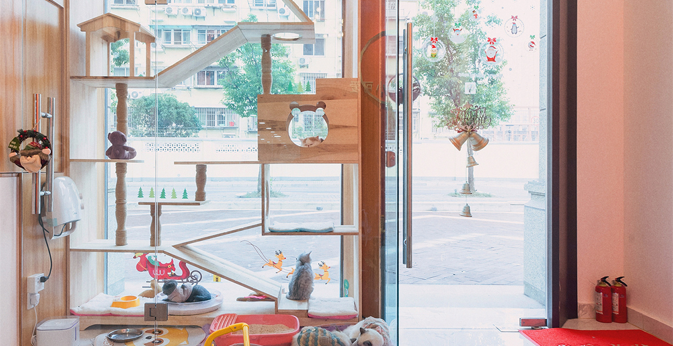 青浦區小清新寵物店裝修設計-第1張圖片-上海古都建筑設計集團